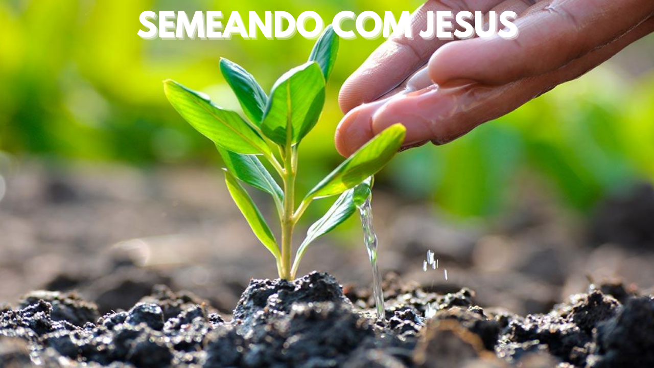 SEMEANDO COM JESUS - LIVRE-ARBÍTRIO