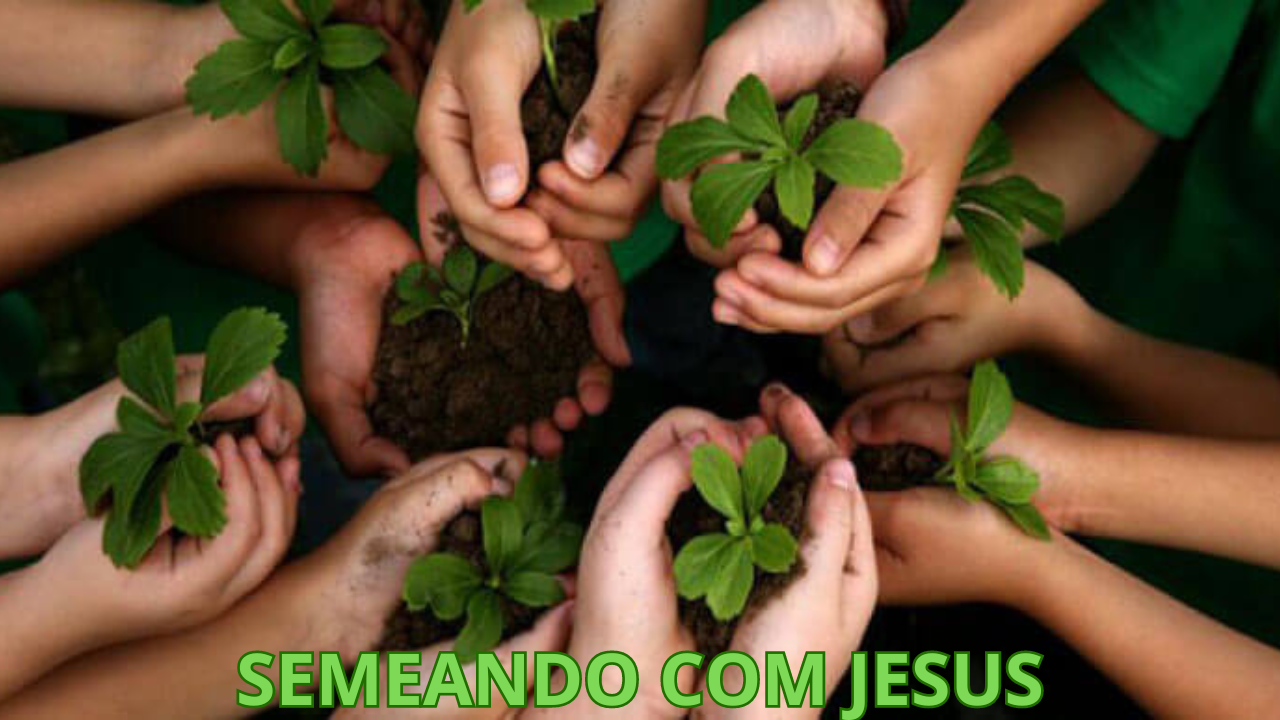 SEMEANDO COM JESUS - A FORÇA E  A DETERMINAÇÃO DE CADA UM